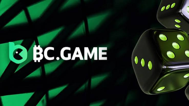 Exploring the World of BC.Game A Revolutionary Cryptocurrency Gaming Platform